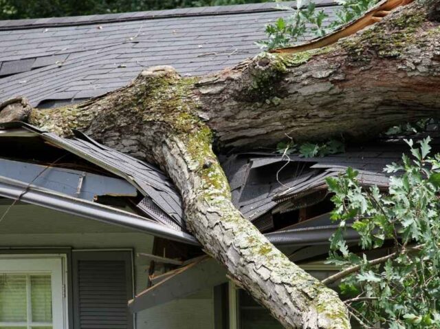 emergency roof repair services Winchester VA